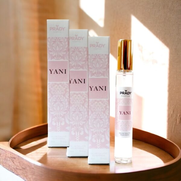 Lot de 6 : Eau de toilette générique femme YANI Prady – 33ml