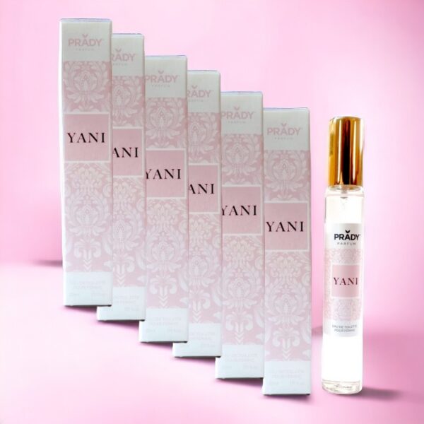 Lot de 12 : Eau de toilette générique femme YANI Prady – 33ml