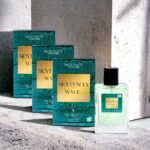 Lot de 5 : Eau de toilette générique SENTENCIA WAVE pour homme
