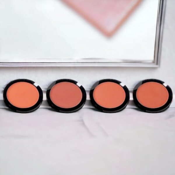 Présentoir de 24 : Blush 4 couleurs 12H.