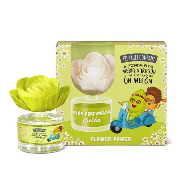 Pack de 8 : Fleurs d'ambiance parfumée au Melon - 55ml