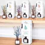 Mélange de 4 Parfums Différents : Mikado Collection Zen - Ambar