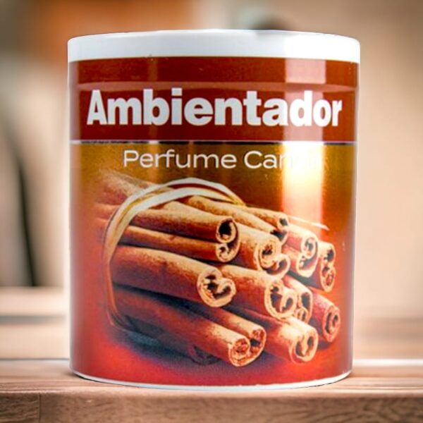 Lot de 12 boîtes de parfum d'ambiance - Cannelle