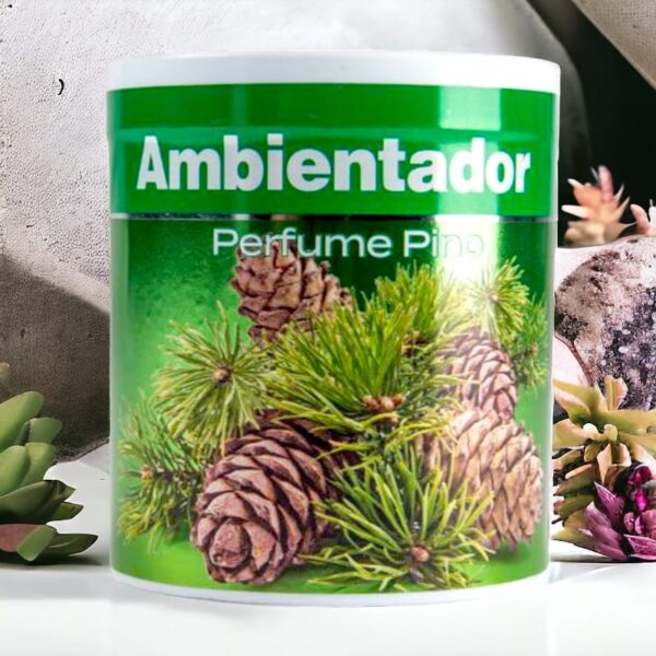 Lot de 12 boîtes de parfum d'ambiance - Pin