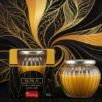 Lot de 6 Bougie Parfumée Tropical 85gr - Setahome