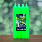 Pack de 12 X 4  - Bougie Couleur Verte Collection SUMMER CANDLES NEON