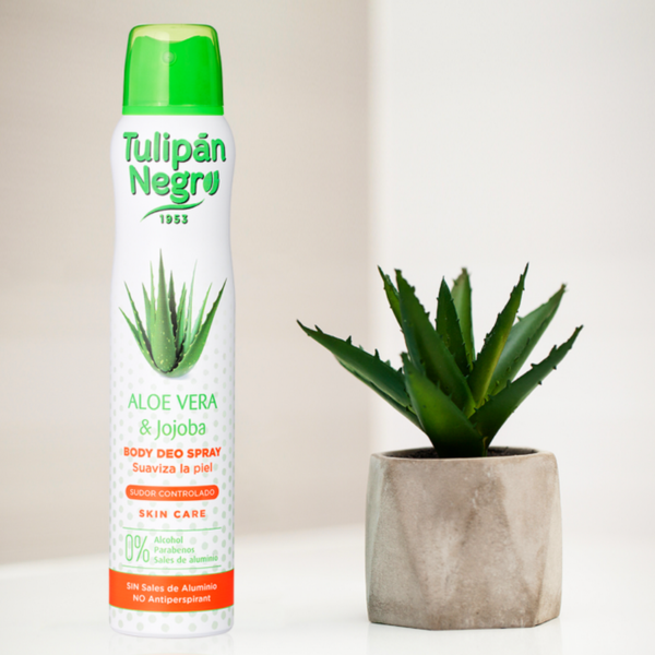 Pack de 12 : Déodorant en spray - Aloe Vera et Jojoba 200ml