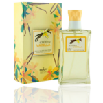 Carton de 24 : Eau de toilette générique Vanille - Prady