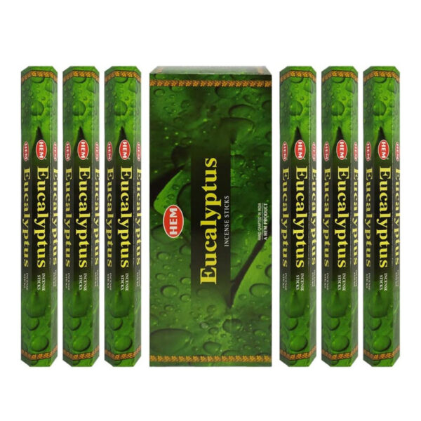 Lot de 6 Boîtes de 20 Bâtonnets d'encens - Eucalyptus