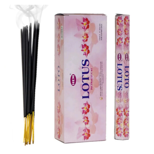 Lot de 6 Boîtes de 20 Bâtonnets d'encens - Lotus