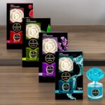 Bon mélange de 12 : Fleur Magique - Qualité Prémium