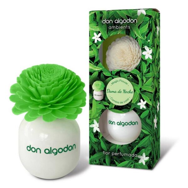 Lot de 3 : Fleur magique haut de gamme "Dame des nuits" - Don Algodon