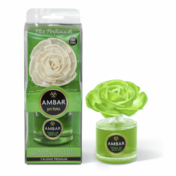 Carton de 10 : Fleur magique Dame de nuit - Fabriqué en Espagne