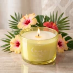 Lot de 12 : Bougie HIBISCUS 85gr - Pot en Verre