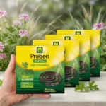 Lot de 10 : Boite de 10 Spirales Anti-moustiques Parfumées à la Citronnelle + Support - Massó Preben