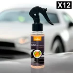 Lot de 12 : Spray d'Ambiance Parfumé Voiture 100ml - MANGUE - Prady