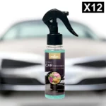 Lot de 12 : Spray d'Ambiance Parfumé Voiture 100ml - SPA - Prady