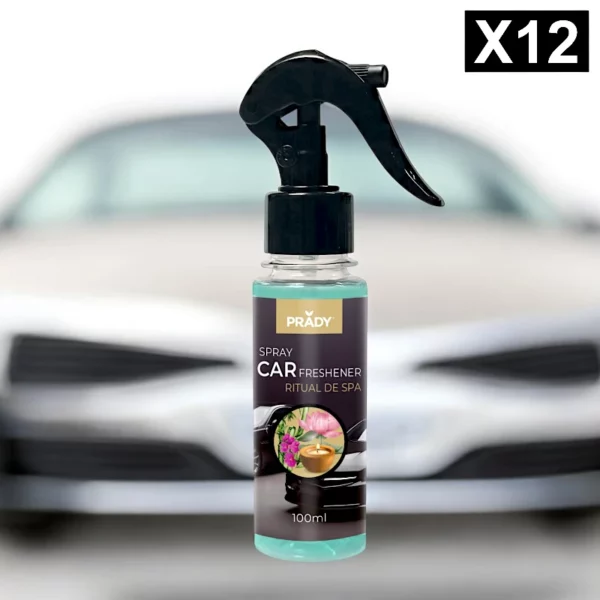 Lot de 12 : Spray d'Ambiance Parfumé Voiture 100ml - SPA - Prady