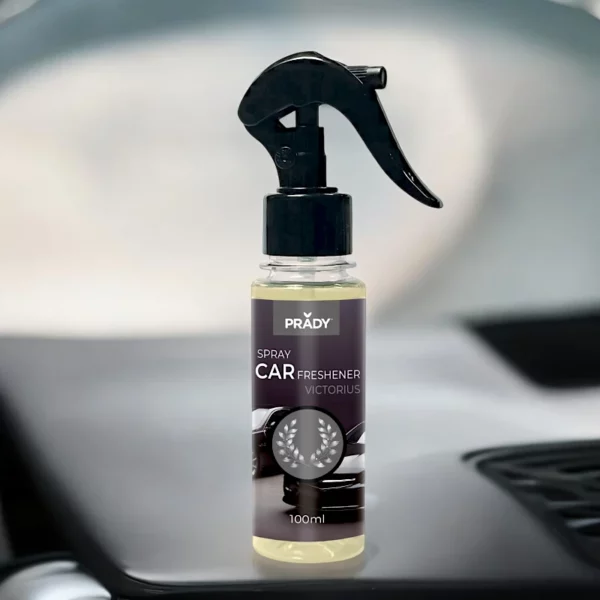 Lot de 24 : Spray d'Ambiance Parfumé Voiture 100ml - VICTORIUS - Prady
