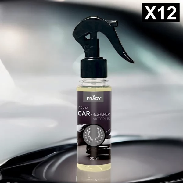 Lot de 12 : Spray d'Ambiance Parfumé Voiture 100ml - VICTORIUS - Prady