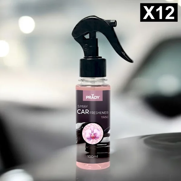 Lot de 12 : Spray d'Ambiance Parfumé Voiture 100ml - YANI - Prady