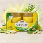 Packs de 8X2 : Bougies Anti-moustiques - Sans insecticide
