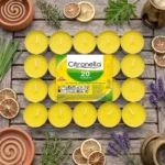 12 Packs de 20 : Bougies répulsif Anti-moustiques