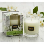 Pack de 12 - Bougie parfum Jasmin