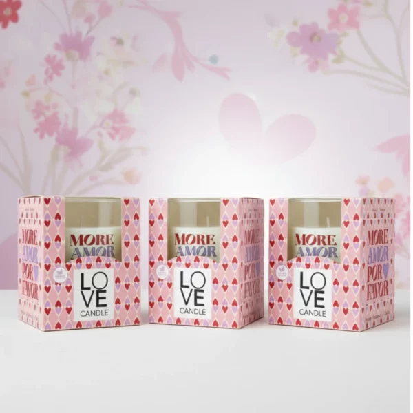 Lot de 6 - Cire Végétale - Pot en Verre - 28h
