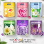 Lot de 12