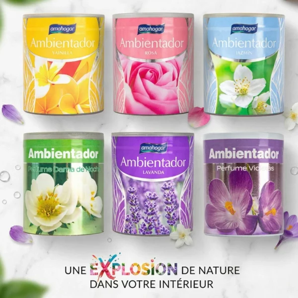 Lot de 12