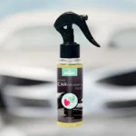 Lot de 24 : Spray d'Ambiance Parfumé Voiture 100ml - BEBE - Prady