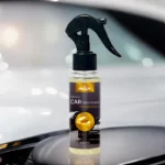 Lot de 24 : Spray d'Ambiance Parfumé Voiture 100ml - GOLDEN MAN - Prady