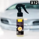 Lot de 12 : Spray d'Ambiance Parfumé Voiture 100ml - VANILLE - Prady