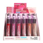 Présentoir de 24 : Gloss Fixe Mat sensationnel