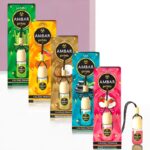Lot mélangé de 12 : Parfum de voiture à suspendre Ambar