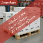 Mikado Prady 1,30€ 📦 Palette Déstockage Prady : Collection Complète 73 Cartons | 876 Unités | - +ou- 5500€ à la Revente