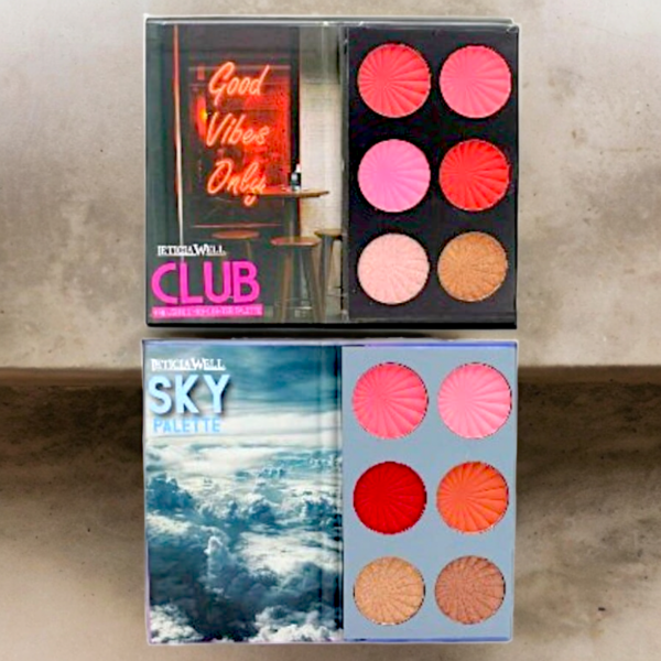 Lot de 16 : Grandes Palettes 4 Blushes + 2 Illuminateurs Par Palette