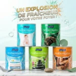 Lot de 12