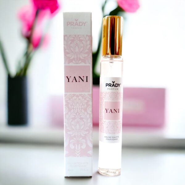 Lot de 3 : Eau de toilette générique femme YANI Prady – 33ml