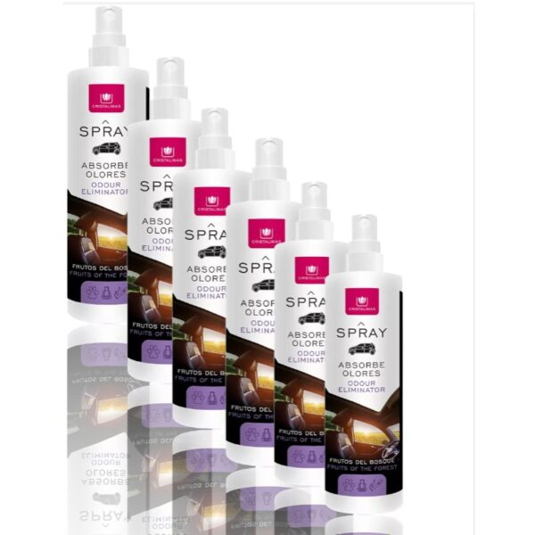 Lot de 6 Sprays Absorbe-odeurs - Spécial Voiture